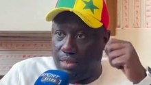 Le témoignage accablant d’un supporter sénégalais sur les comportements des Congolais :« Même nos chèvres sont plus civilisées... »