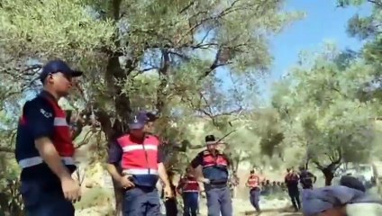 Akbelen’de zeytin ağaçlarının kesimine direnen muhtar ve köylüler gözaltına alındı