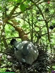 Most Incredible Moments Caught on Camera