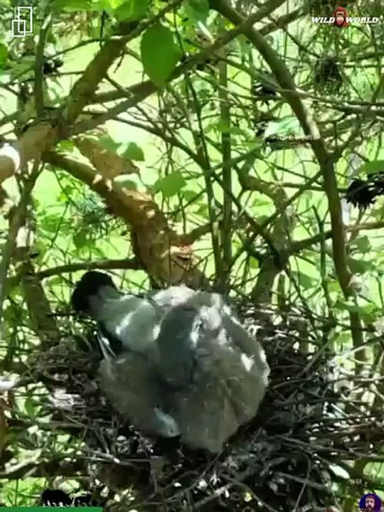 Most Incredible Moments Caught on Camera