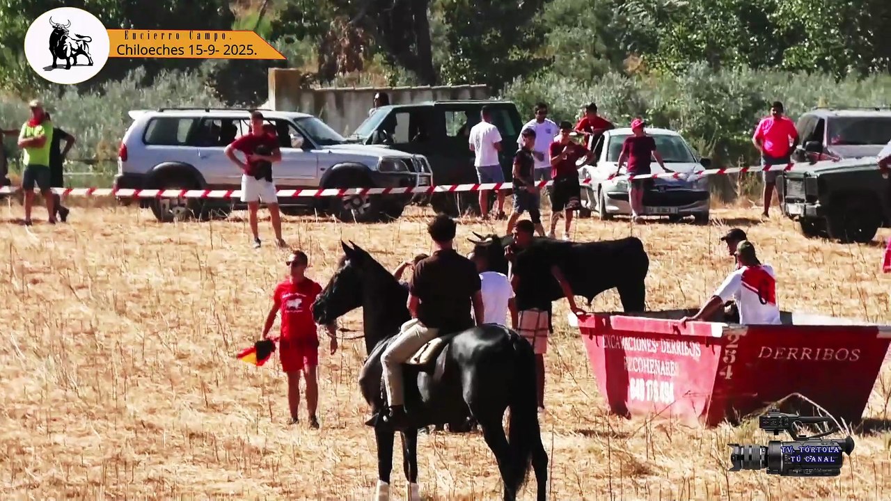 Chiloeches 15-09-2025 Encierro Campo