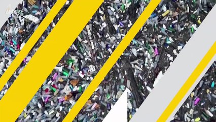 Fungi That Can Survive on Plastic Alone! Yes, It Is a Thing!