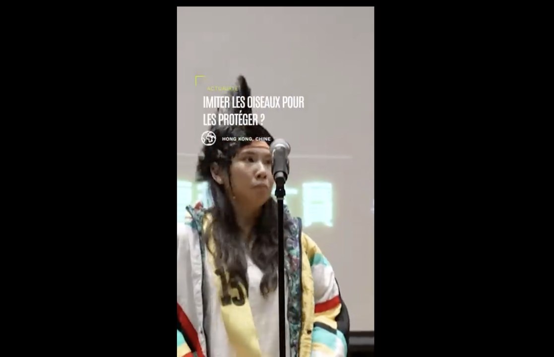 À Hong Kong, un concours d’imitations d’oiseaux pour sauver la biodiversité