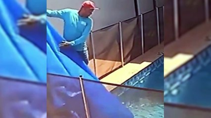 Homem salva cachorro cego prestes a morrer no fundo de piscina