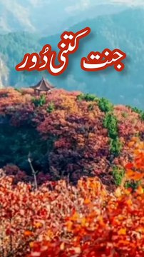 Hadees Pak 💞 Hadees Sharif 🌹✍️🥀 Hadith in Urdu Hadees Mubarak Islamic #shorts #hadees #short