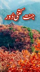 Hadees Pak 💞  Hadees Sharif 🌹✍️🥀  Hadith in Urdu  Hadees Mubarak Islamic #shorts #hadees #short