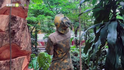 De árbol talado a hotel de mariposas: así nació el 'Árbol Hábitat' en Provenza