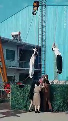 They Chose Him But The World Chose Me