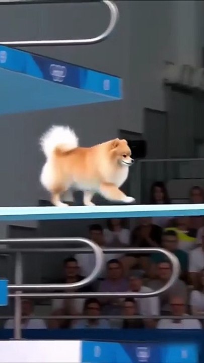 The competition in the diving competition was fierce.