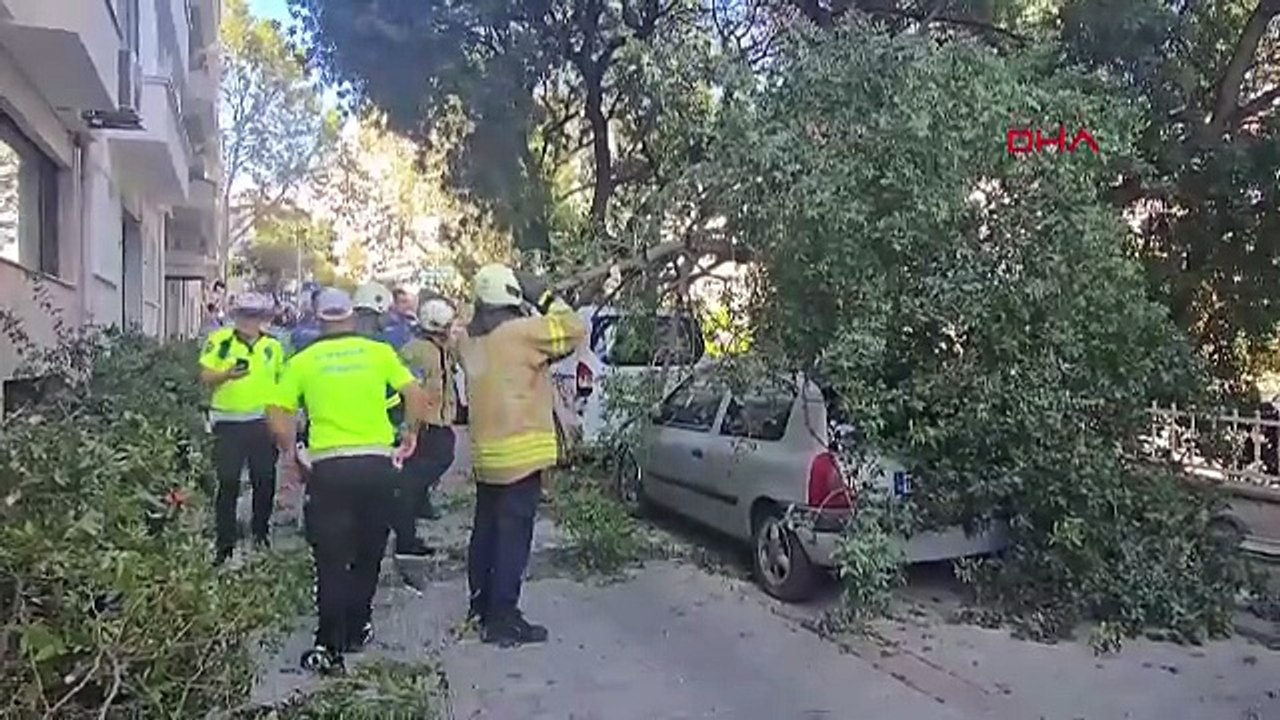 İstanbul'da otomobillerin üzerine ağaç devrildi