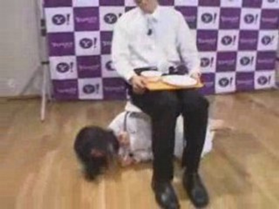 人物大図鑑 「キャビンアテンダントと乗客