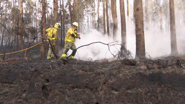 Estabilizado el incendio de Barreiros después de arrasar 80 hectáreas