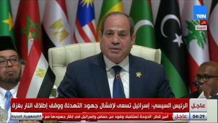 السيسي: على إسرائيل أن تستوعب أن أمنها وسيادتها لن يتحققا بالقوة بل باحترام القانون وسيادة الدول
