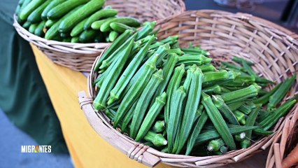 Migrantes Episodio 2 | Afroamericanos