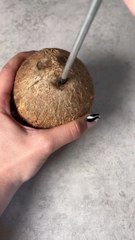 Hindistan cevizi ne ise yarar