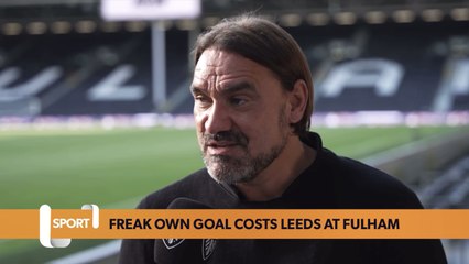 Freak own goal sees Leeds United defeated by Fulham in Premier League