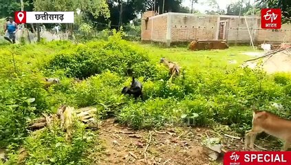 8 तरह की खेती के साथ पशुपालन भी, लखपति दीदी योजना के पहले ही ढूंढ ली थी स्वावलंबन की राह