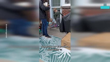 Kids Surprised With a Pet Kitten