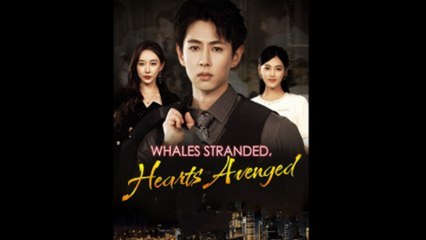 Whales Stranded, Hearts Avenged - FULL MOVIES ENGLISH SUB