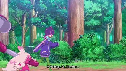 [ENG] EP.110 Pokemon Horizons The Series