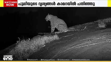 മലപ്പുറം മണ്ണാർമലയിൽ വീണ്ടും പുലിയിറങ്ങി