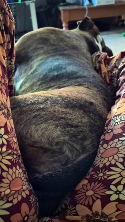 Pas moi, j’ai fait la scène 😅😅