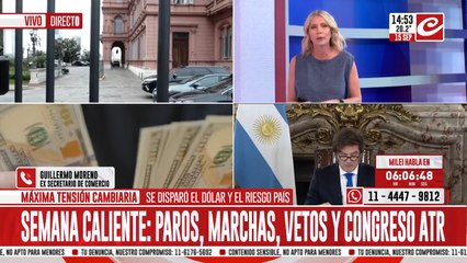 Guillermo Moreno: "Milei se tiene que ir en el marco de la ley de acefalía"