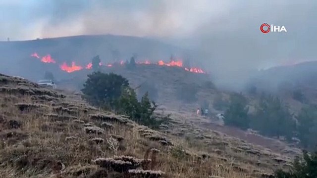 Erzincan’da örtü yangını ormana sirayet etmeden kontrol altına alındı