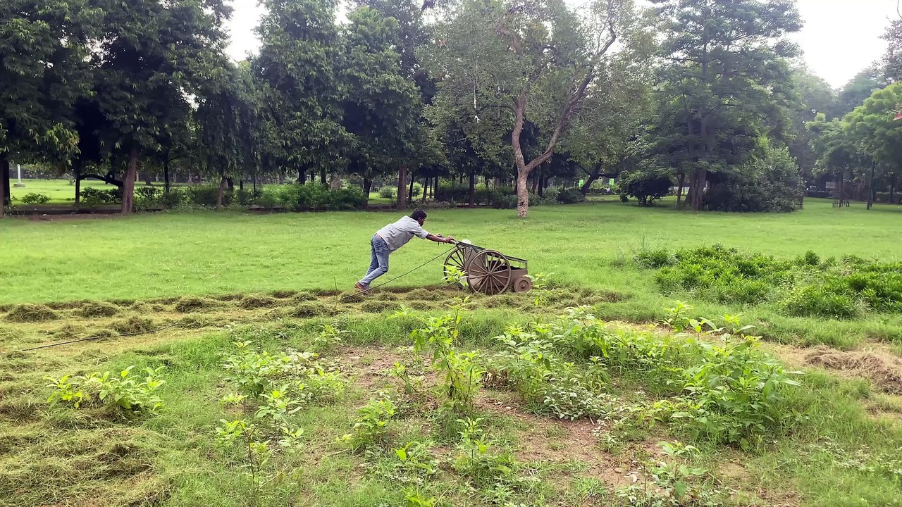 IMGrass cutting