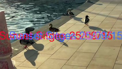 Sunset Sitges 25:09:15 -7