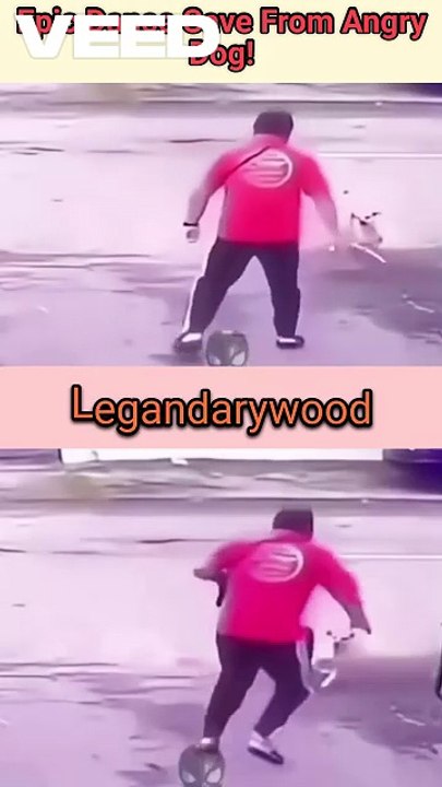 Epic Dance Save from Angry Dog | Dog VS Human |Funny Escape