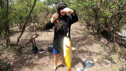 Pesca y cocina de Dorado en el Arroyo Urquiza!