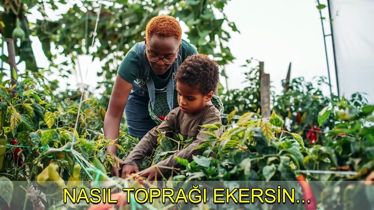 EĞİTİM DEVRİMİ