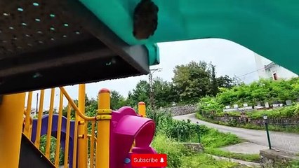Natural Honeycomb of Honey Bees in a Children's Playground