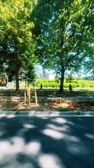 Il ne savait pas que c'était impossible alors il l'a fait #BR3 #motivation #success #conseil #leçon