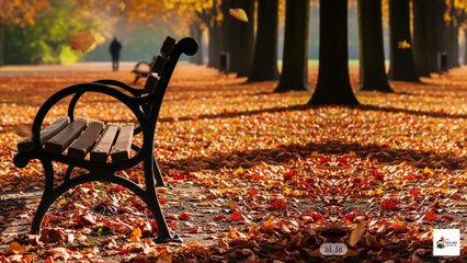 Tan Vỡ Một Mùa Thu | Bolero Miền ký ức