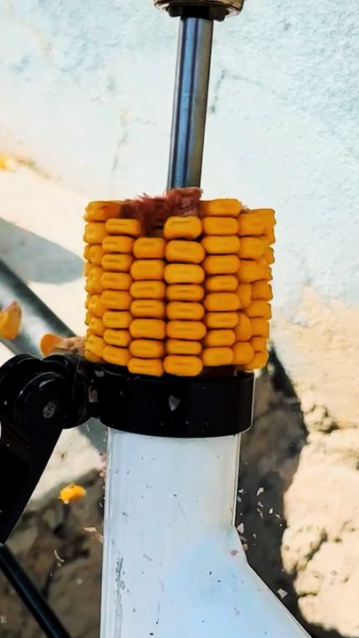 Autumn Corn Hack 🌽 Perfect Cooking Trick for Bike Trips 🚴