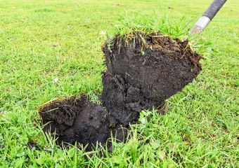 Prized Lucindale farm for sale.