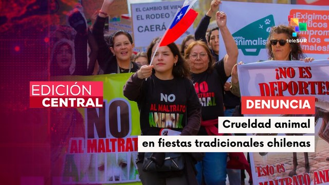 Fiestas Patrias, tradición y polémica por maltrato animal en rodeos y carreras