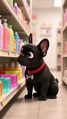 Dog’s Secret Bubble Plan! Watch cute Pup Create a Rainbow Bath!🛁#cute#frenchie#aianimation #cartoon