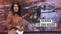 En busca de oro negro | El Informe con Alicia Ortega