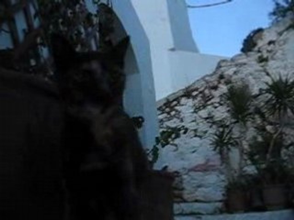 MVI_0086