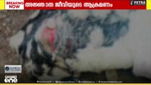 അജ്ഞാത ജീവിയുടെ ആക്രമണം; വീടുകളിലെ വളർത്തു മൃഗങ്ങളെ കൊന്നു