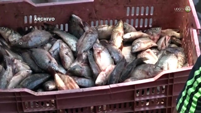 Siete cooperativas de pescadores del lago de Chapala piden a Lemus que les asigne 20 millones