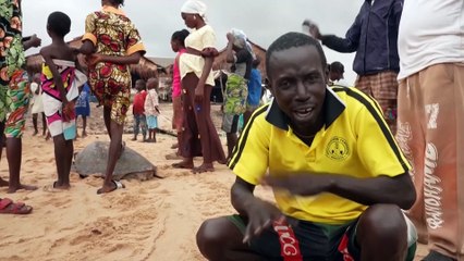 Activists fight to save Nigeria's sea turtles from pollution, poachers