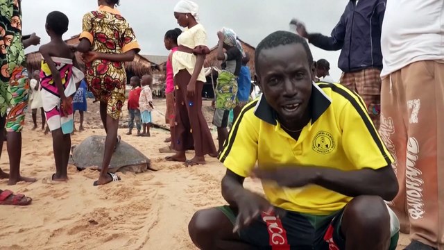 Activists fight to save Nigeria's sea turtles from pollution, poachers