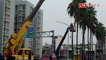 陪伴30年民眾拍照告別！ 台南大林椰道走入歷史