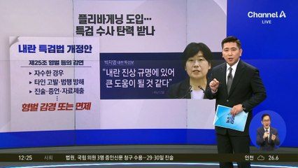 내란 특검법 개정안에 ‘형량 거래 조항’ 포함