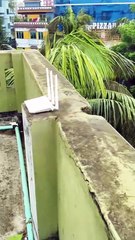 Tenda F3 300mbps Wireless Router 02