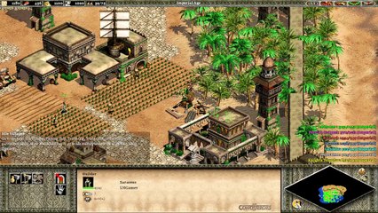 Age Of Empires 2 (Original) - Saladin | The Lion and the Demon Gameplay & Strategy